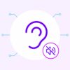 Loop Experience 2 Plus